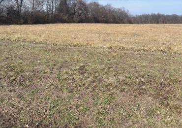 17225 Akin Blacktop Blacktop, Benton, Illinois, ,Land,For Sale,Akin Blacktop,RMAEB456717