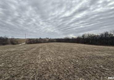 7.05 acres Section 05 3S 5W, Liberty, Illinois, ,Land,For Sale,Section 05 3S 5W,RMACA1034382