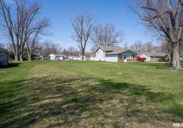 215 BAYLOR Street, East Peoria, Illinois, ,Land,For Sale,BAYLOR,RMAPA1247706