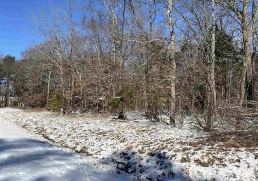 Buckeye Hill Court, Goreville, Illinois, ,Land,For Sale,Buckeye Hill,RMAQC4260538