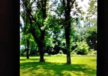 1600 and 1604 Mahoney Street, Eldorado, Illinois, ,Land,For Sale,Mahoney,RMAEB456863