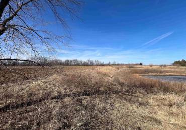 RR 1350TH Street Street, Versailles, Illinois, ,Land,For Sale,Street,RMACA1034614