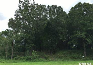 Lot 287 Parrish Ridge Lane, Goreville, Illinois, ,Land,For Sale,Parrish Ridge,RMAEB456919