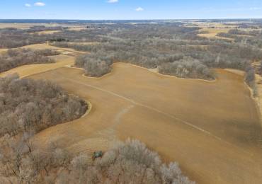 0000 TIMBER Road, Glasford, Illinois, ,Land,For Sale,TIMBER,RMAPA1256285