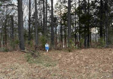 Lot 140 CHERRY Point, Goreville, Illinois, ,Land,For Sale,CHERRY,RMAEB456948