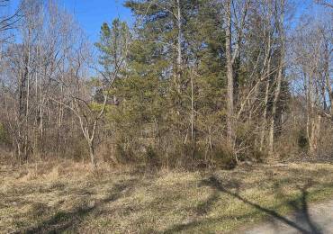 MALLARD Lane, Carterville, Illinois, ,Land,For Sale,MALLARD,RMAEB457102