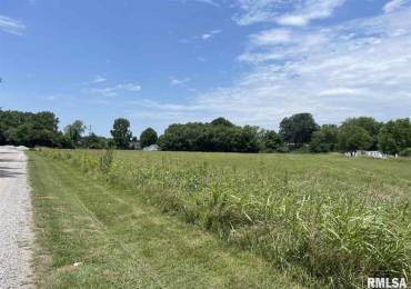 000 11TH Street, Murphysboro, Illinois, ,Land,For Sale,11TH,RMAEB457099