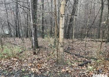 00 DEER RIDGE Road, Goreville, Illinois, ,Land,For Sale,DEER RIDGE,RMAEB457552