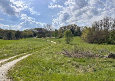 523 Spunky Ridge Road, Meredosia, Illinois, ,Land,For Sale,Spunky Ridge,RMACA1036050