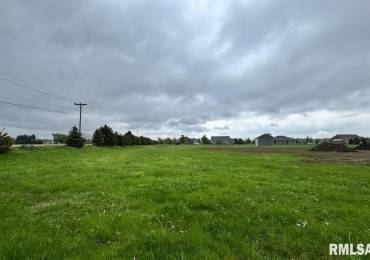 1920-1922 MAYFLOWER Drive, Pekin, Illinois, ,Land,For Sale,MAYFLOWER,RMAPA1257535
