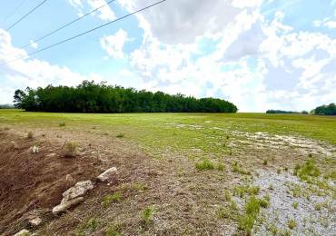 000 Shawneetown New Haven Road, Elizabethtown, Illinois, ,Land,For Sale,Shawneetown New Haven,RMAEB457750