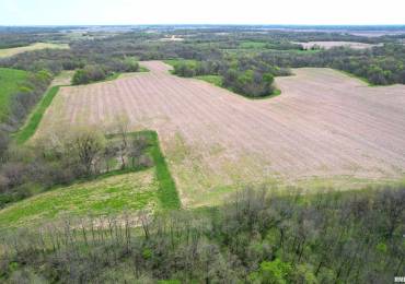 Hammer Road, Concord, Illinois, ,Land,For Sale,Hammer,RMACA1036205