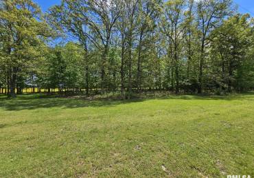 Lot 2 WILDWOOD Place, Dix, Illinois, ,Land,For Sale,WILDWOOD,RMAEB457824
