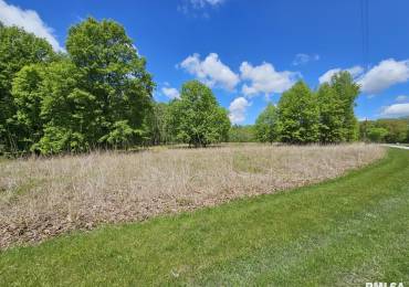 Lot 41 DEER PARK Drive, Dix, Illinois, ,Land,For Sale,DEER PARK,RMAEB457829