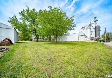 LOT 1 MAIN Street, Forest City, Illinois, ,Land,For Sale,MAIN,RMAPA1257694