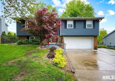 411 ZOOK Court, Germantown Hills, Illinois, 3 Bedrooms Bedrooms, ,2 BathroomsBathrooms,Residential,For Sale,ZOOK,RMAPA1257644