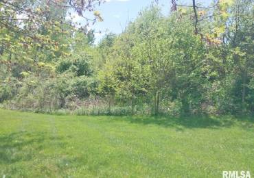 53 HIDDEN Court, Dahinda, Illinois, ,Land,For Sale,HIDDEN,RMAPA1257744