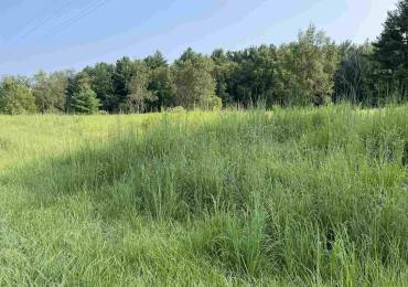 Lot 258 OAK RUN Drive, Dahinda, Illinois, ,Land,For Sale,OAK RUN,RMACA1036311