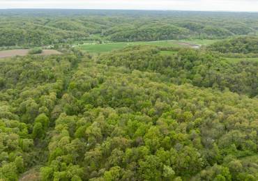 000 Bee Creek Road, Pearl, Illinois, ,Land,For Sale,Bee Creek,RMACA1036335