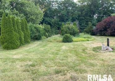 0 ROUTE 29 Highway, Chillicothe, Illinois, ,Land,For Sale,ROUTE 29,RMAPA1257861