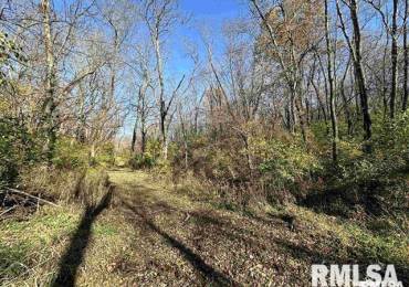 2115 KNOX RD 150 Road, Galesburg, Illinois, ,Land,For Sale,KNOX RD 150,RMACA1036419