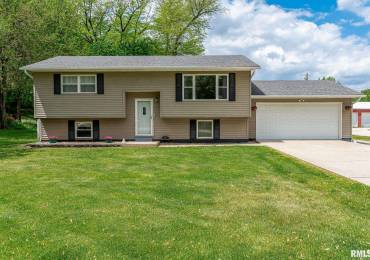 607 BRIARGATE Drive, Colona, Illinois, 3 Bedrooms Bedrooms, ,1 BathroomBathrooms,Residential,For Sale,BRIARGATE,RMAQC4263262