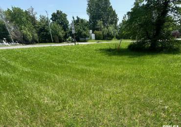 0000 Highway 51 Highway, Carbondale, Illinois, ,Land,For Sale,Highway 51,RMAEB457964