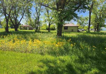 516 CLAY Street, Ashley, Illinois, ,Land,For Sale,CLAY,RMAEB457997