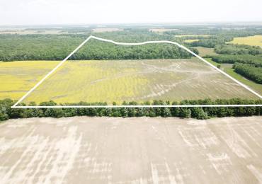 000 County Road 275 E Road, Keenes, Illinois, ,Land,For Sale,County Road 275 E,RMAEB458013