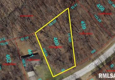 1460 LAKEVIEW Road North, Dahinda, Illinois, ,Land,For Sale,LAKEVIEW,RMAPA1258007