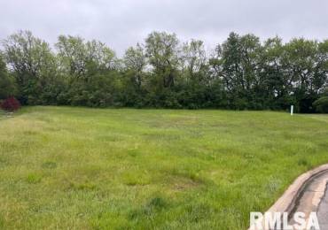 2203 AUGUSTA Drive, Dunlap, Illinois, ,Land,For Sale,AUGUSTA,RMAPA1258070
