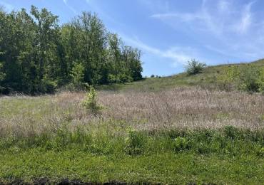 724 BAMBI Court, Andalusia, Illinois, ,Land,For Sale,BAMBI,RMAQC4263561