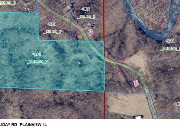 13973 Halliday Road, Plainview, Illinois, 2 Bedrooms Bedrooms, ,1 BathroomBathrooms,Land,For Sale,Halliday,RMACA1036725