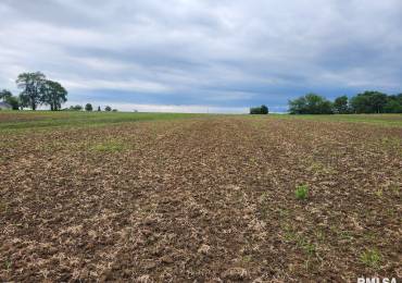 812 GREENGOLD Road, Hanna City, Illinois, ,Land,For Sale,GREENGOLD,RMAPA1258209