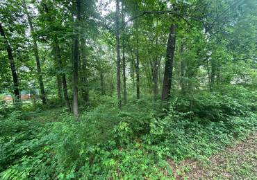 000 White Birch Court, Benton, Illinois, ,Land,For Sale,White Birch,RMAEB458151