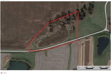 5 acres Section 26 Pea Ridge Twp, Timewell, Illinois, ,Land,For Sale,Section 26 Pea Ridge Twp,RMACA1028473