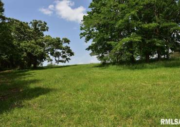 005 Battleford Road, Stonefort, Illinois, ,Land,For Sale,Battleford,RMACA1036803