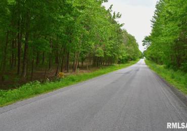 002 Battleford Road, Stonefort, Illinois, ,Land,For Sale,Battleford,RMACA1036800