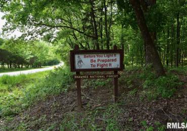 004 Battleford Road, Stonefort, Illinois, ,Land,For Sale,Battleford,RMACA1036802