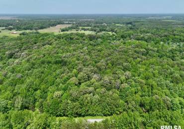 001 Battleford Road, Stonefort, Illinois, ,Land,For Sale,Battleford,RMACA1036799