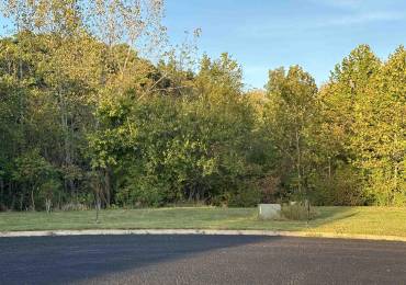 104 Scarlet Court, Washington, Illinois, ,Land,For Sale,Scarlet,RMAPA1258320