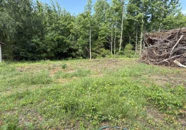 7227 Pickle City Road, Benton, Illinois, ,Land,For Sale,Pickle City,RMAEB458209