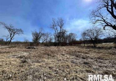 4 LOTS ELM Drive, Mill Creek, Illinois, ,Land,For Sale,ELM,RMAEB453189