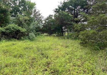 Lot 211 CHEROKEE Drive, Goreville, Illinois, ,Land,For Sale,CHEROKEE,RMAEB458273