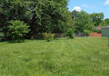 457 MADISON Street, Macomb, Illinois, ,Land,For Sale,MADISON,RMAPA1250252