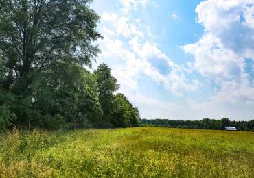 199 Hanging Rock Road, Flora, Illinois, ,Land,For Sale,Hanging Rock,RMAEB458310