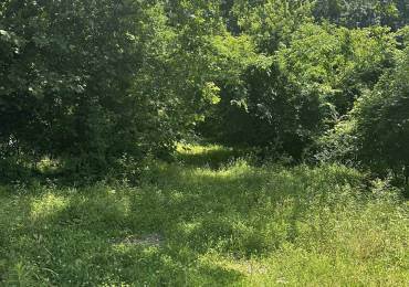 585 Berryville Road, Jonesboro, Illinois, ,Land,For Sale,Berryville,RMAQC4264245