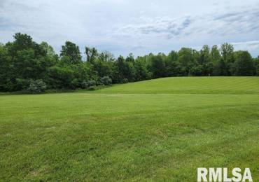 Lot 8 Irish Rose Lane, Carbondale, Illinois, ,Land,For Sale,Irish Rose,RMAEB456775