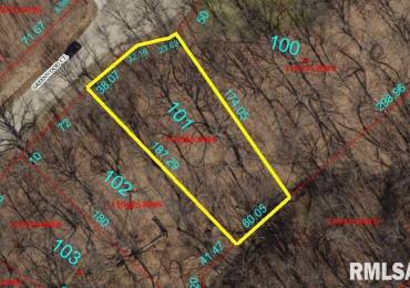 101 GREENWOOD Court, Dahinda, Illinois, ,Land,For Sale,GREENWOOD,RMAPA1258754