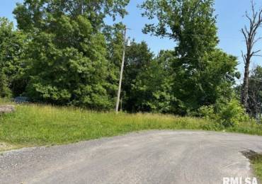 TBD Penco Avenue, Centralia, Illinois, ,Land,For Sale,Penco,RMAEB458432